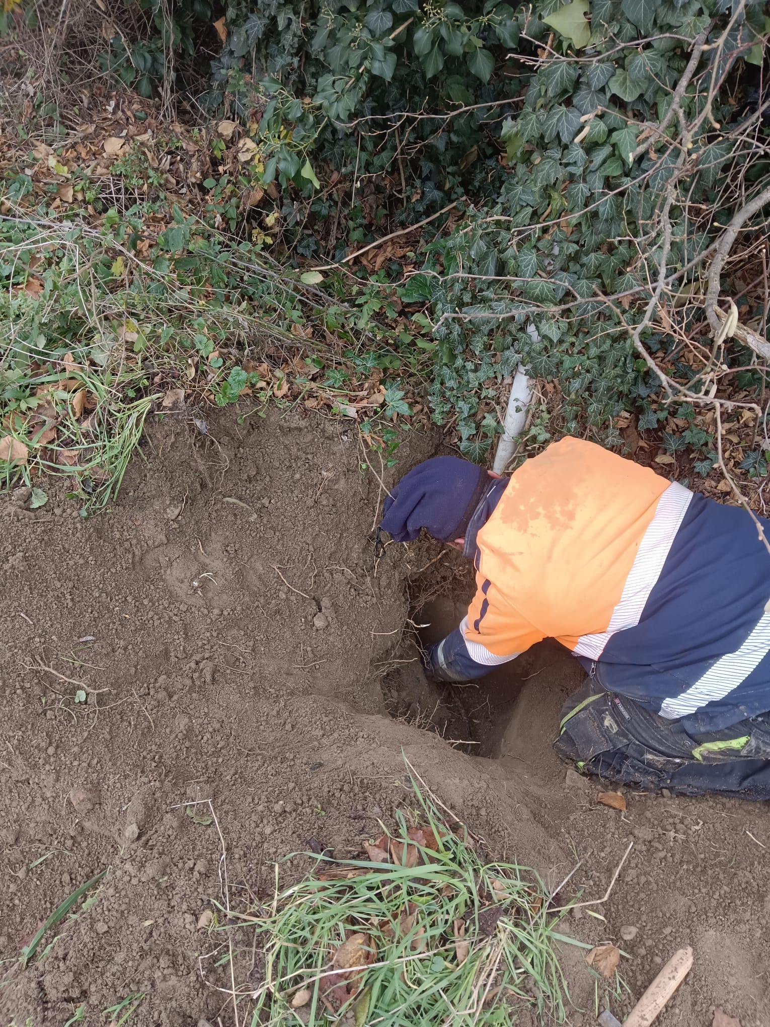 WhatsApp Image 2025-08-13 at 19.41.11 (3)